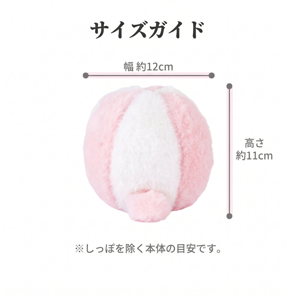 ボールのサイズ説明