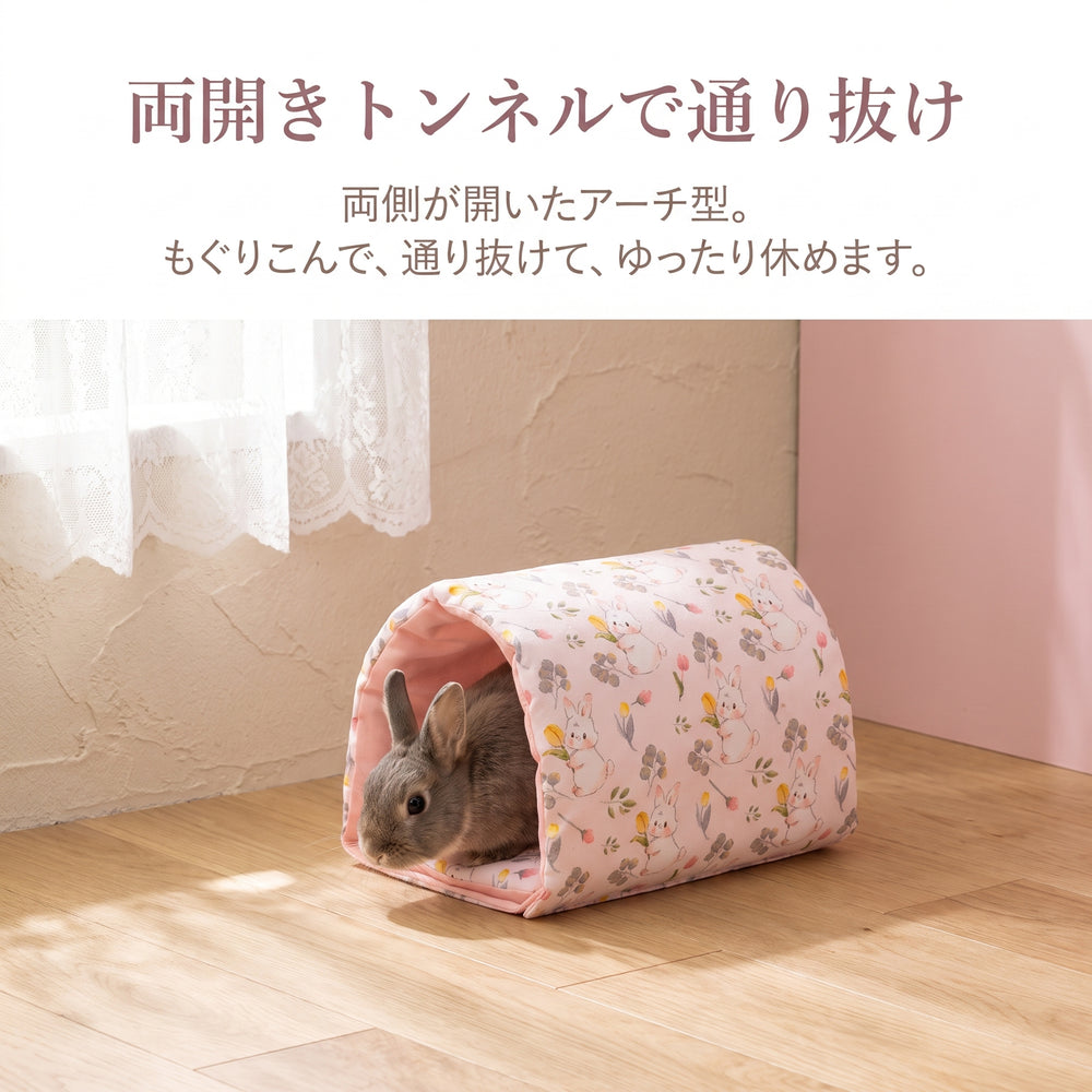 明るい部屋でアーチ型トンネルハウスに入るうさぎ