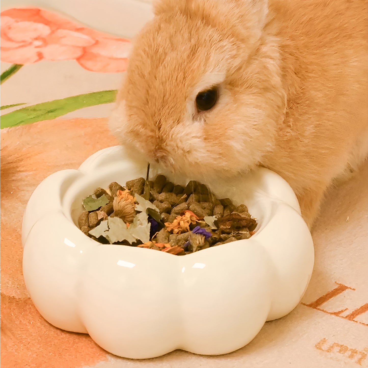 HandyMite うさぎ 餌入れ ハムスター えさ入れ 花形デザイン 高温焼成セラミック 首サポート 転倒防止 汚れ防止 ペット 小動物用食器