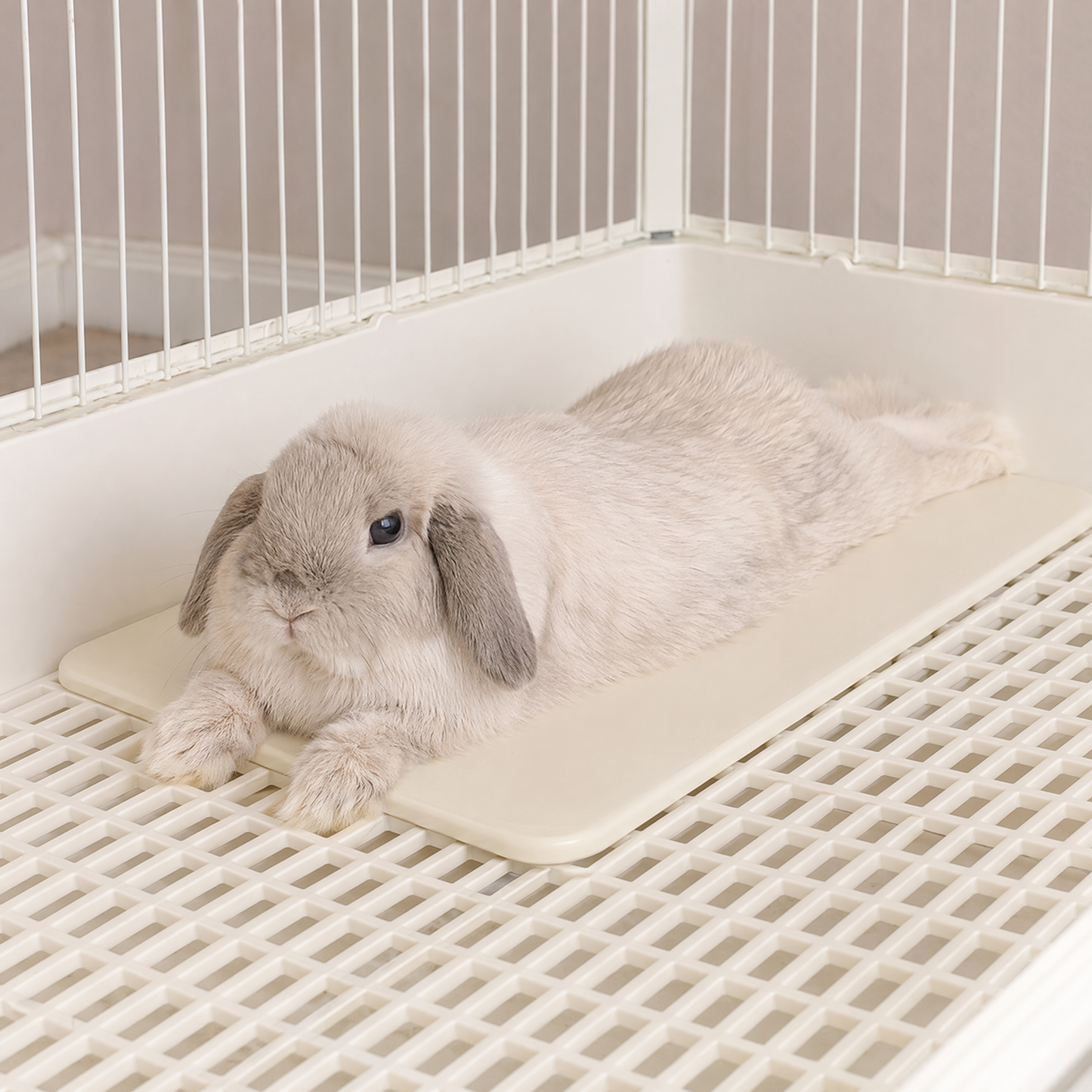 うさぎ用ひんやりプレート｜陶器製・自然冷却タイプ