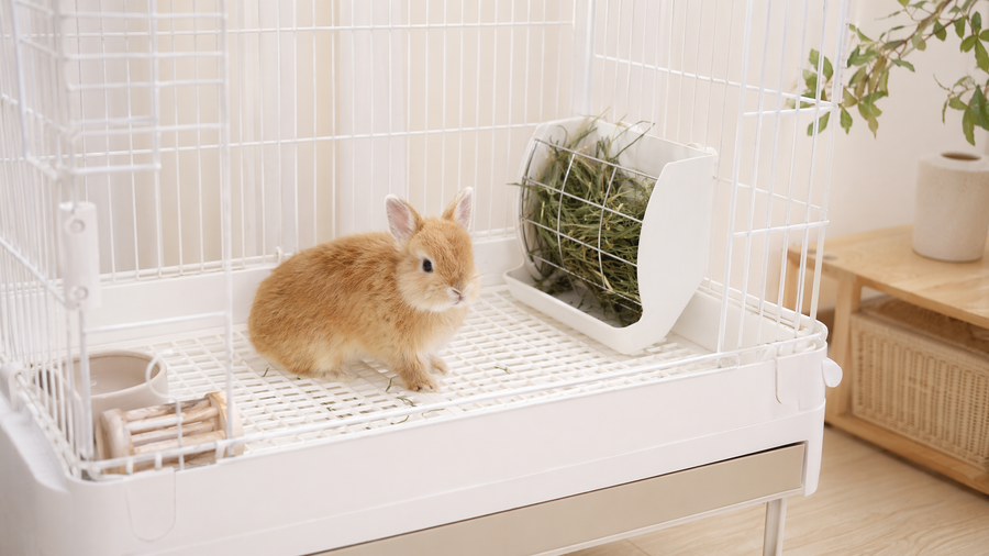 牧草を清潔に食べやすくする用品