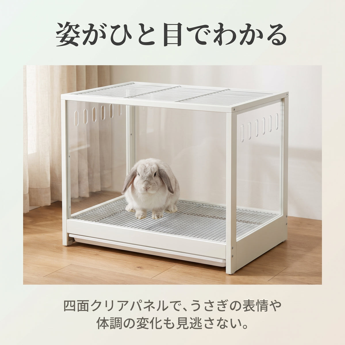 四面クリアパネルのケージでくつろぐうさぎ